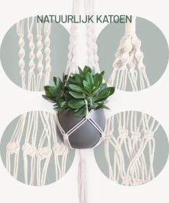 Gadgy Plantenhanger Macramé 3 Stuks - Luxe Gevlochten Touw Katoen - Plantenpot Ophangen - Hangpot -Buitentuinwinkel 1000x1200 6