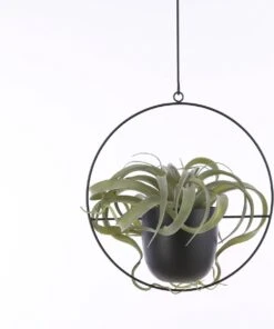 Mica Decorations Dexter Bloempot Hangend - L34 X B14 X H65 Cm - Zwart -Buitentuinwinkel 1002x1200