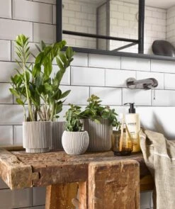 Capi Europe - Set Van 4 - Bloempot Binnen - Groove - - Ivoor - Bloempot Voor Binnen - BOX-BGVI-4 -Buitentuinwinkel 1005x1200 1