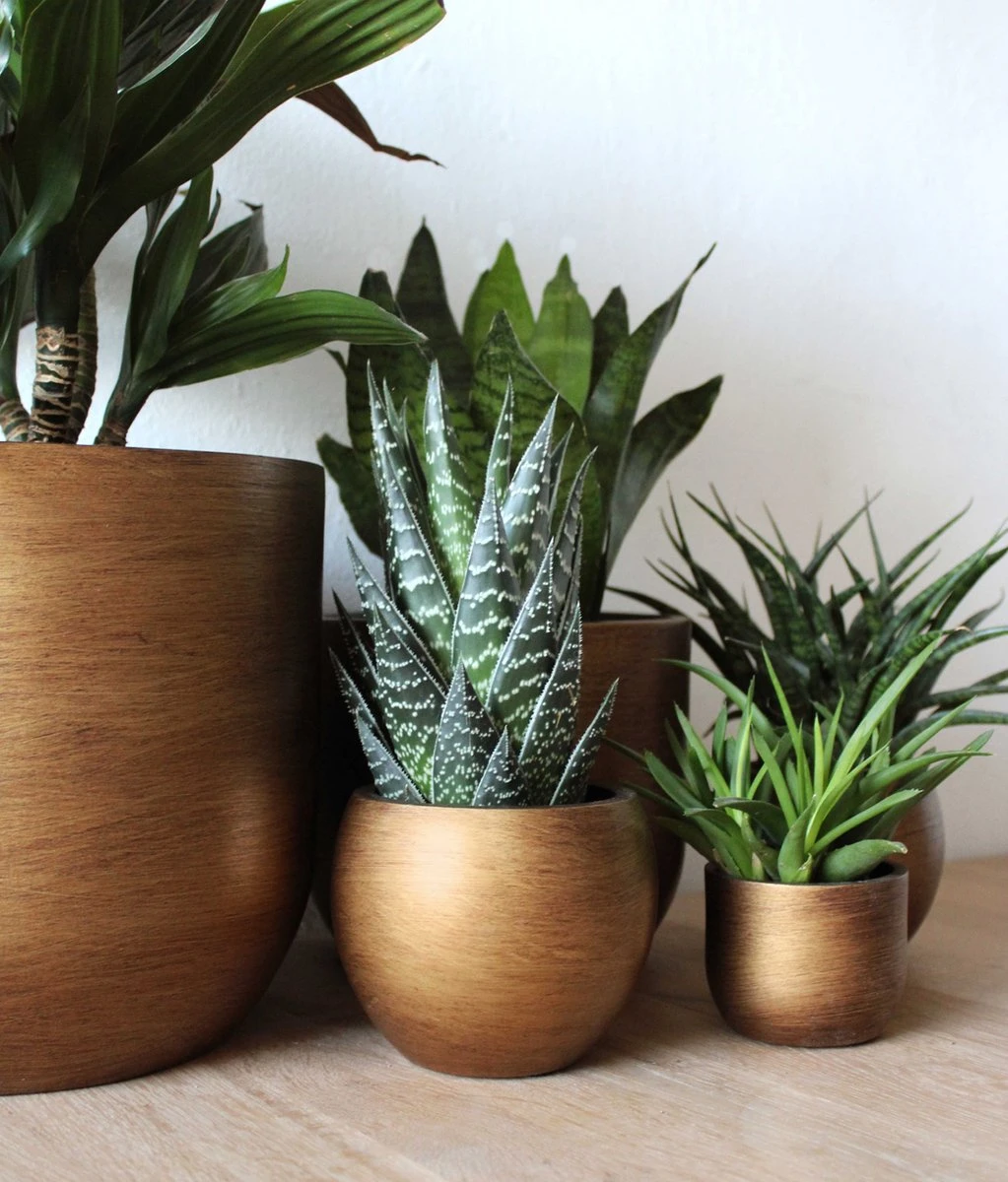 Capi Europe - Bloempot Bol Retro - 23x21 - Goud - Bloempot Voor Binnen - BRTG134 7 Capi Europe - Bloempot Bol Retro - 23x21 - Goud - Bloempot Voor Binnen - BRTG134 - Afbeelding 5