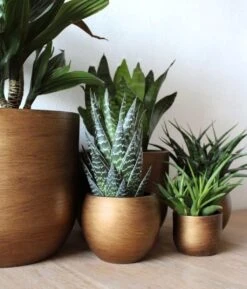 Capi Europe - Bloempot Bol Retro XL - 42x41 - Goud - Bloempot Voor Binnen - Opening ⌀36 - RTG933 -Buitentuinwinkel 1024x1200 3