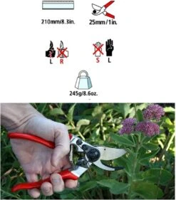 Felco 2 + GRATIS Felco Handschoenen In Cadeauverpakking 12 Felco 2 + GRATIS Felco Handschoenen In Cadeauverpakking -Buitentuinwinkel 1056x1200 5