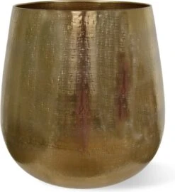Merkloos Bloempot Karakter Goud - L 10 Merkloos Bloempot Karakter Goud - L -Buitentuinwinkel 1099x1200