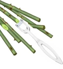 Bloemensnijder Groen/rood/transparant -Buitentuinwinkel 1102x1200 2