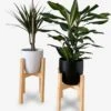 Plantenstandaard | Set Van 2 | Diameter Tot 24 Cm | Plantenkruk | Bloempotten Voor Binnen | Plantentafeltje Voor Binnen | Bloempot Standaard | Plantenstandaard Binnen | Hout | Licht Bruin -Buitentuinwinkel 1111x1200 1