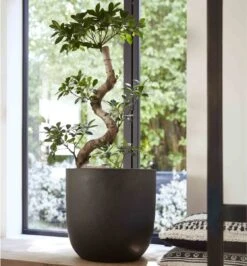 Capi Europe - Bloempot Bol Smooth NL - 35x34 - Zwart - Voor Binnen En Buiten - KBL932 -Buitentuinwinkel 1116x1200 1