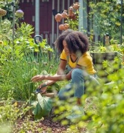 GARDENA - ExpertCut - Snoeischaar - 22 Diameter Tak -Buitentuinwinkel 1116x1200 5