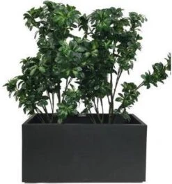Elho Vivo Matt Finish Lang Wielen 90 - Grote Staande Plantenbak Voor Binnen & Buiten - Gemaakt Van Gereycled Plastic - L 39 X W 88 X H 41 Cm - Zwart 16 Elho Vivo Matt Finish Lang Wielen 90 - Grote Staande Plantenbak Voor Binnen & Buiten - Gemaakt Van Gereycled Plastic - L 39 X W 88 X H 41 Cm - Zwart -Buitentuinwinkel 1124x1200 2