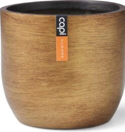 Capi Europe - Bloempot Bol Retro - 23x21 - Goud - Bloempot Voor Binnen - BRTG134 24 Capi Europe - Bloempot Bol Retro - 23x21 - Goud - Bloempot Voor Binnen - BRTG134 -Buitentuinwinkel 1131x1200 4