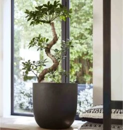 Capi Europe - Bloempot Bol Smooth NL - 43x41 - Zwart - Voor Binnen En Buiten - KBL933 -Buitentuinwinkel 1132x1200 14