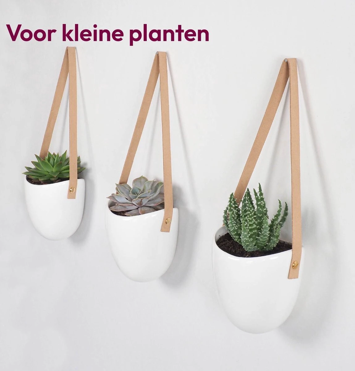 Gadgy Plantenhanger Keramiek - Set Van 3 - Hangpot Van Wit Steen - Hangende Bloempot Plantenpot - Met 3 Verschillende Koorden - 12x11x9.5CM 6 Gadgy Plantenhanger Keramiek - Set Van 3 - Hangpot Van Wit Steen - Hangende Bloempot Plantenpot - Met 3 Verschillende Koorden - 12x11x9.5CM - Afbeelding 4