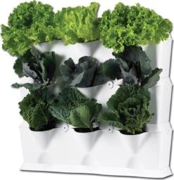 Minigarden Vertical Verticale Tuin - Wit 13 Minigarden Vertical Verticale Tuin - Wit -Buitentuinwinkel 1157x1200