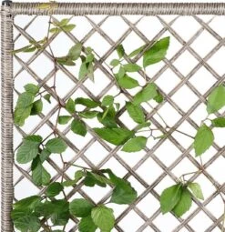 Casaria Polyrattan Bloembak – 3 Bakken Klimophek - Crème 16 Casaria Polyrattan Bloembak – 3 Bakken Klimophek - Crème -Buitentuinwinkel 1163x1200 2