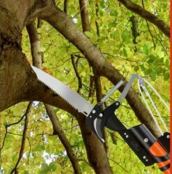 Gardebruk Takkenzaag Telescopisch - 2in1 Zaag & Snoeischaar - Oranje -Buitentuinwinkel 1189x1200 11