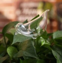 Waterdruppelaar Planten - Vorm Vogel - Set Van 3 Kunststof Druppelaars - 25cm Lengte - Genoeg Water Tijdens Je Vakantie 7 Waterdruppelaar Planten - Vorm Vogel - Set Van 3 Kunststof Druppelaars - 25cm Lengte - Genoeg Water Tijdens Je Vakantie -Buitentuinwinkel 1190x1200 4