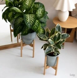 Gadgy Bamboe Plantenstandaard 2 St - Plantentafel - Plantentafeltje Voor Binnen - Plantenrek - Uitschuifbaar - Hout - Ø 20 Tot 30 Cm 20 Gadgy Bamboe Plantenstandaard 2 St - Plantentafel - Plantentafeltje Voor Binnen - Plantenrek - Uitschuifbaar - Hout - Ø 20 Tot 30 Cm -Buitentuinwinkel 1197x1200 11