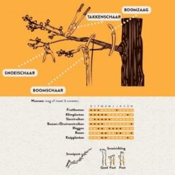 Hendrik Jan - Snoeizaag - Pistoolgreep - Gebogen - 30 Cm 6 Hendrik Jan - Snoeizaag - Pistoolgreep - Gebogen - 30 Cm -Buitentuinwinkel 1198x1200 32