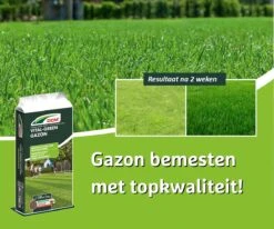 DCM Vital-Green Gazon - Gazonmest - Gazonmeststof Met MINIGRAN® Technology - 75m2 - 3 Kg -Buitentuinwinkel 1200x1000