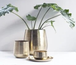 Gina Da - Bloempot - Karakter - Goud - Metaal - 15 Cm Hoog -Buitentuinwinkel 1200x1027 5