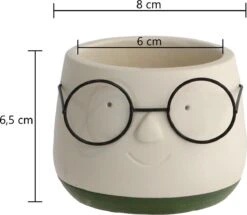 2x Bloempot Met Gezicht - Ø8 X H6,5 Cm - Bloempotten Voor Binnen Met Bril/Face/Hoofd -Buitentuinwinkel 1200x1045