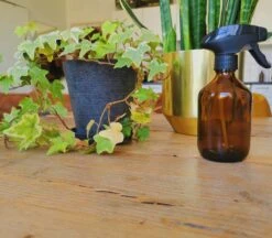 24DOTS Living Plantenspuit | 300 Ml Bruin Amber Glas | Plantensproeier | Plantenspuit Binnen | Waterverstuiver | Vernevelaar -Buitentuinwinkel 1200x1051