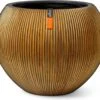 Capi Europe - Vaas Bol Groove XL - 39x33 - Goud - Bloempot Voor Binnen - Opening ⌀24 - GVGB270 -Buitentuinwinkel 1200x1067 3