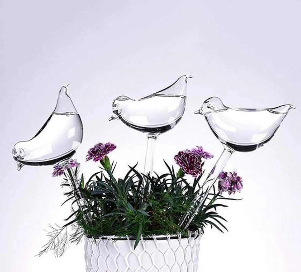 Waterdruppelaar Planten - Vorm Vogel - Set Van 3 Kunststof Druppelaars - 25cm Lengte - Genoeg Water Tijdens Je Vakantie 4 Waterdruppelaar Planten - Vorm Vogel - Set Van 3 Kunststof Druppelaars - 25cm Lengte - Genoeg Water Tijdens Je Vakantie - Afbeelding 2