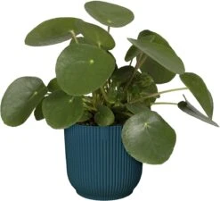 Elho Vibes Fold Rond 22 - Bloempot Voor Binnen - Ø 22.0 X H 20.2 Cm - Diepblauw -Buitentuinwinkel 1200x1094 2