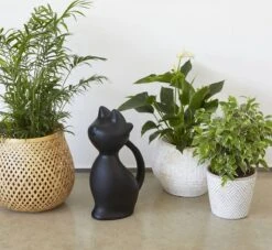 Balvi Meow! Kat Gieter - Zwart -Buitentuinwinkel 1200x1103