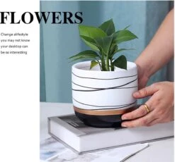 Bloempotten Binnen - Keramiek - Gouden Rand - Bloempot Buiten - Afvoergat 24 Cm - Groen – Groot -Buitentuinwinkel 1200x1118 2