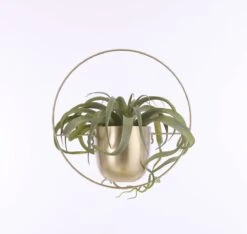 Mica Decorations Dexter Bloempot Wand - L34 X B14 X H34 Cm - Goud -Buitentuinwinkel 1200x1137 1