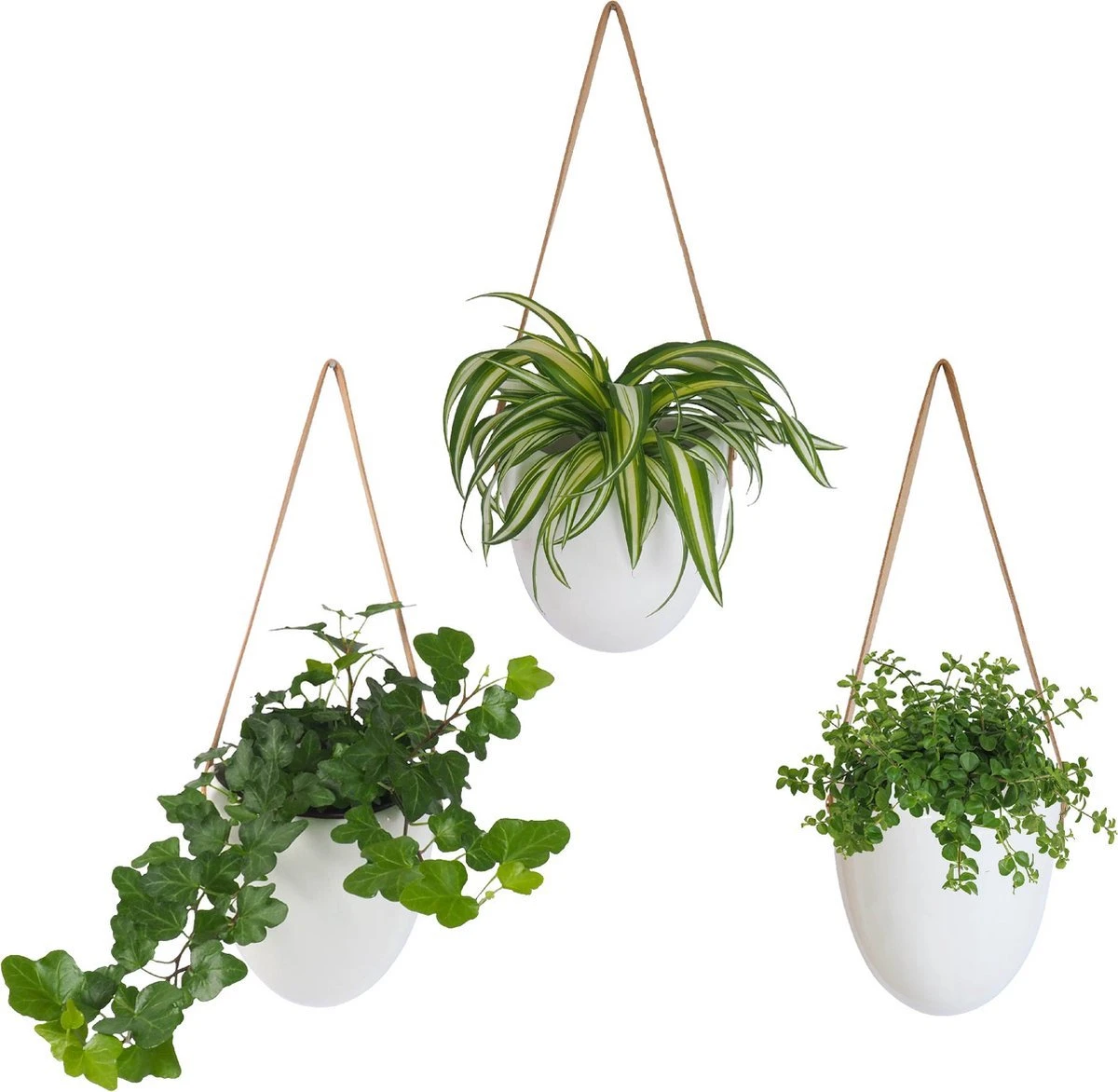 Gadgy Plantenhanger Keramiek - Set Van 3 - Hangpot Van Wit Steen - Hangende Bloempot Plantenpot - Met 3 Verschillende Koorden - 12x11x9.5CM 3 Gadgy Plantenhanger Keramiek - Set Van 3 - Hangpot Van Wit Steen - Hangende Bloempot Plantenpot - Met 3 Verschillende Koorden - 12x11x9.5CM