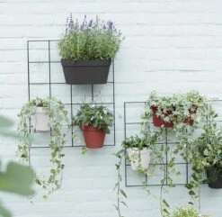 Elho Loft Urban Green Wall Rek 48 - Accessoires Voor Buiten - Ø 47.3 X H 59.0 Cm - Zwart/Living Black 13 Elho Loft Urban Green Wall Rek 48 - Accessoires Voor Buiten - Ø 47.3 X H 59.0 Cm - Zwart/Living Black -Buitentuinwinkel 1200x1173 3