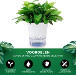 SKYARD® 3 Stuks Zelfwaterende Bloempot Maat M – Milieuvriendelijk Watergeefsysteem Kamerplanten – Zelfwatergevende Pot – Bloempot Met Waterreservoir – Selfwatering Pot – Wit -Buitentuinwinkel 1200x1183 3