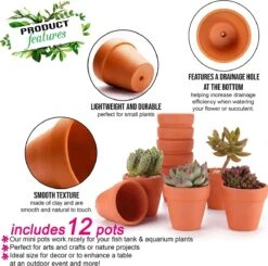 Garden Mania - 12 Mini Terracotta Keramische Klei Bloempotten Met Afvoergat, 8cm -Buitentuinwinkel 1200x1189 1