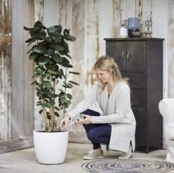 Elho Aqua Care 9 - Accessoires Voor Binnenaccessoires - Ø 17.3 X H 32.0 Cm - Transparant/Transparant -Buitentuinwinkel 1200x1193 6