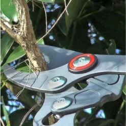 WOLF-Garten Takkenschaar POWER CUT RR*** 900 T - Lengte 650-900mm - Telescoop - Aluminium Hefboomarmen - 4x Meer Kracht - Messpanning Instelbaar -Buitentuinwinkel 1200x1194 5