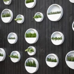 Langwerpige Witte Bloempot Van Naturn Living | Plantenbak | Bloempotten Voor Binnen En Buiten | Wit 8 Langwerpige Witte Bloempot Van Naturn Living | Plantenbak | Bloempotten Voor Binnen En Buiten | Wit -Buitentuinwinkel 1200x1195 5