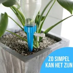 12 Stuks Plant Bewateringssysteem | Waterdruppelaar | Druppelsysteem |Bewateringssysteem | Bewateringsyteem Watergeefsysteem | Plantenbol | Automatische Gieter | Water Druppelaar | Druppel Systeem | Water Geef Systeem | Plantenbol | 27 12 Stuks Plant Bewateringssysteem | Waterdruppelaar | Druppelsysteem |Bewateringssysteem | Bewateringsyteem Watergeefsysteem | Plantenbol | Automatische Gieter | Water Druppelaar | Druppel Systeem | Water Geef Systeem | Plantenbol | -Buitentuinwinkel 1200x1196 1