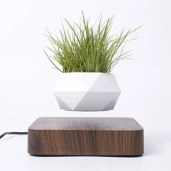 Floatey Design Plant | Zwevende Plant - Bloempot (levitation) -Buitentuinwinkel 1200x1196 5