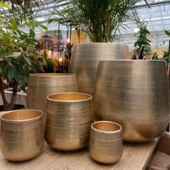 Merkloos Karakter Pot Alu Neo Gold ø40x40cm -Buitentuinwinkel 1200x1198 19