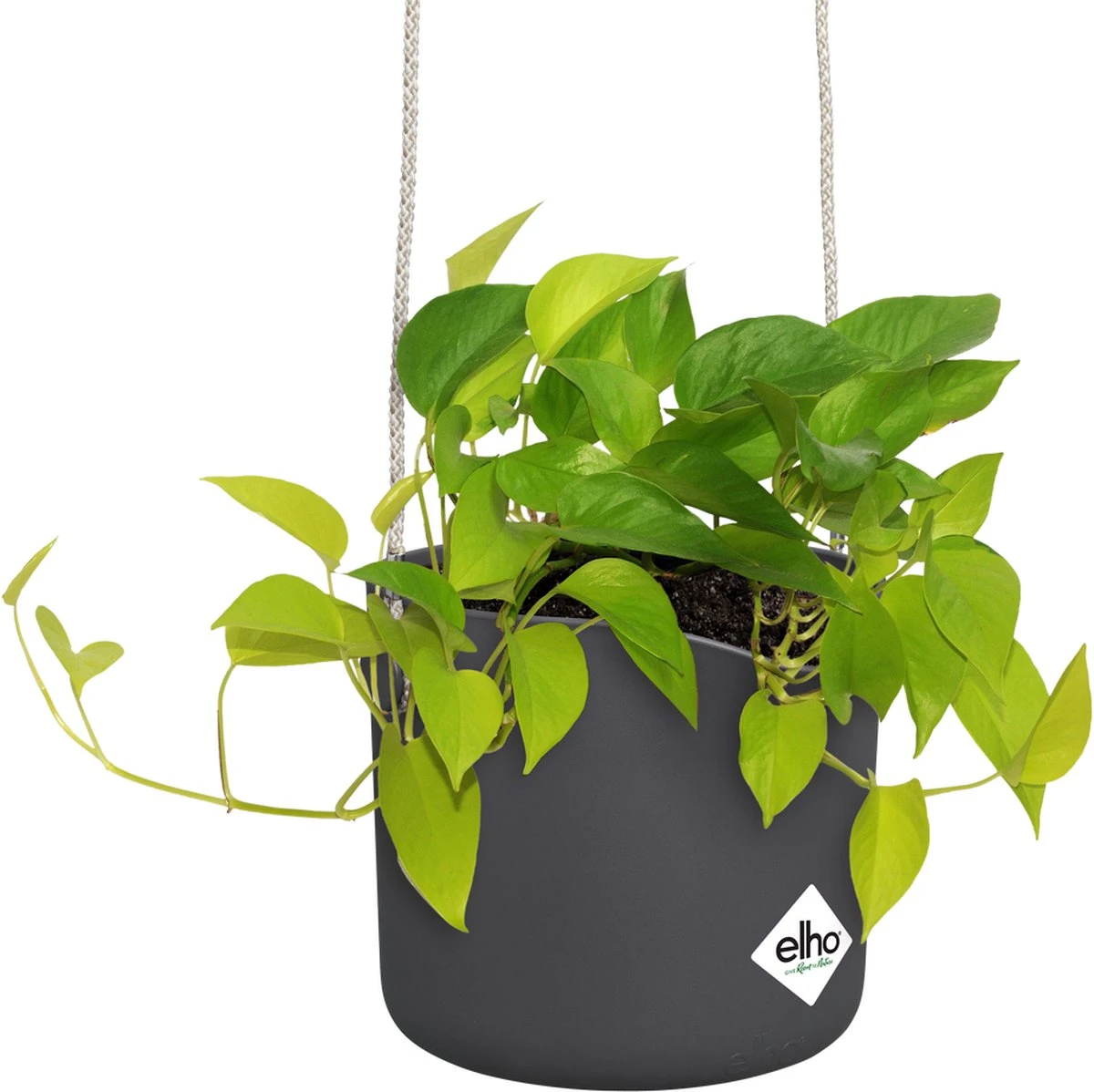 Elho B.for Swing 18 Hangpot - Bloempot Voor Binnen - Ø 18.0 X H 16.5 Cm - Zwart/Antraciet 5 Elho B.for Swing 18 Hangpot - Bloempot Voor Binnen - Ø 18.0 X H 16.5 Cm - Zwart/Antraciet - Afbeelding 3