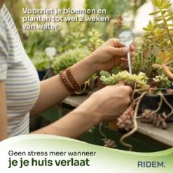 Waterdruppelaar Voor Planten - Irrigatiesysteem- Waterbol - Druppelsysteem - Watergeefsysteem Voor Kamerplanten - Plantenwatergever -6 Stuks - Transparant -Buitentuinwinkel 1200x1198 4