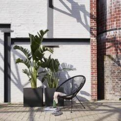 Capi Europe - Bloempot Vierkant Smooth NL - 50x50x50 - Zwart - Voor Binnen En Buiten - KBL904 24 Capi Europe - Bloempot Vierkant Smooth NL - 50x50x50 - Zwart - Voor Binnen En Buiten - KBL904 -Buitentuinwinkel 1200x1200 1002