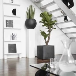 Capi Europe - Bloempot Vierkant Smooth NL - 50x50x50 - Zwart - Voor Binnen En Buiten - KBL904 41 Capi Europe - Bloempot Vierkant Smooth NL - 50x50x50 - Zwart - Voor Binnen En Buiten - KBL904 -Buitentuinwinkel 1200x1200 1009