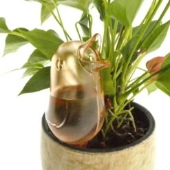 JS Drippy - Waterdruppelaars Set Van 2 Stuks - Druppelaar Vogel - Druppelsysteem Planten - Watergeefsysteem Kamerplanten - Waterbol - Roze -Buitentuinwinkel 1200x1200 101