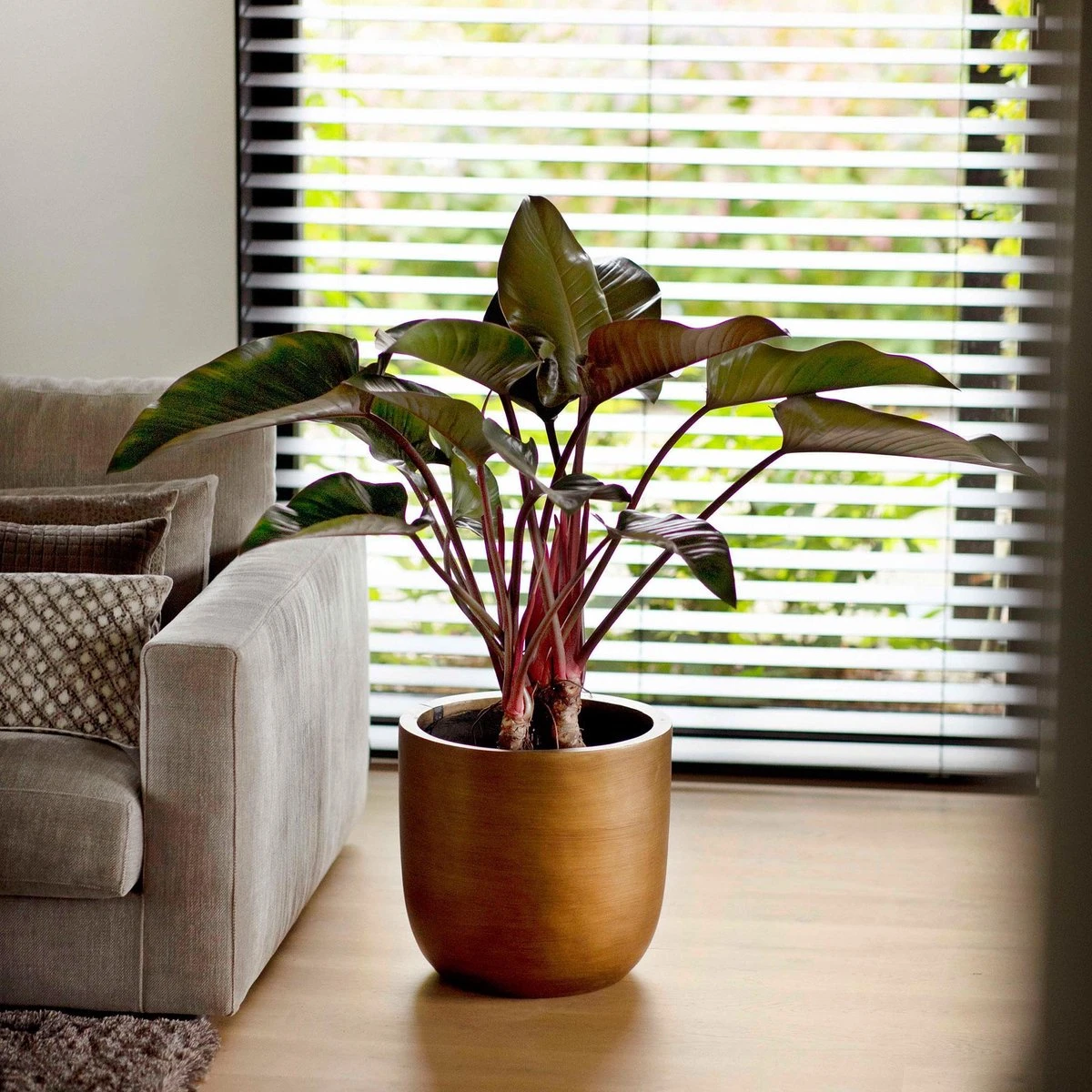 Capi Europe - Bloempot Bol Retro - 23x21 - Goud - Bloempot Voor Binnen - BRTG134 6 Capi Europe - Bloempot Bol Retro - 23x21 - Goud - Bloempot Voor Binnen - BRTG134 - Afbeelding 4