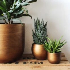 Capi Europe - Bloempot Bol Retro - 23x21 - Goud - Bloempot Voor Binnen - BRTG134 28 Capi Europe - Bloempot Bol Retro - 23x21 - Goud - Bloempot Voor Binnen - BRTG134 -Buitentuinwinkel 1200x1200 1032