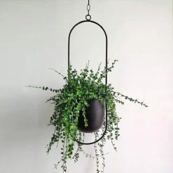 Be-Inspired® Hangende Bloempot Ovaal - Bloempot Binnen - Voor Hangplant – Plant Bloem Pot Met Opknoping – Plantenhanger - Plantenbak - Industrieel – Scandinavisch - Metaal - Zwart 11 Be-Inspired® Hangende Bloempot Ovaal - Bloempot Binnen - Voor Hangplant – Plant Bloem Pot Met Opknoping – Plantenhanger - Plantenbak - Industrieel – Scandinavisch - Metaal - Zwart -Buitentuinwinkel 1200x1200 1036