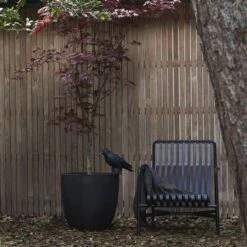 Capi Europe - Bloempot Bol Smooth NL - 43x41 - Zwart - Voor Binnen En Buiten - KBL933 -Buitentuinwinkel 1200x1200 1054